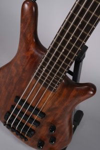 WARWICK THUMB 5C USATO