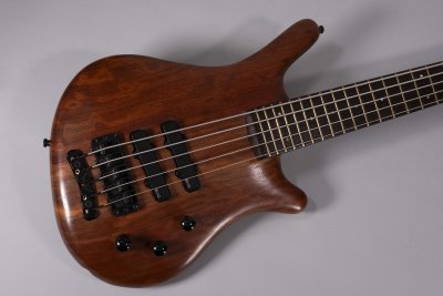 WARWICK THUMB 5C USATO
