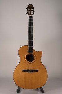 TAYLOR NS54CE USATA