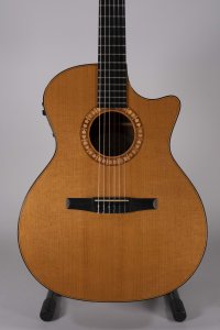 TAYLOR NS54CE USATA
