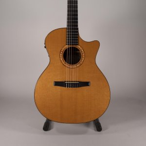 TAYLOR NS54CE USATA