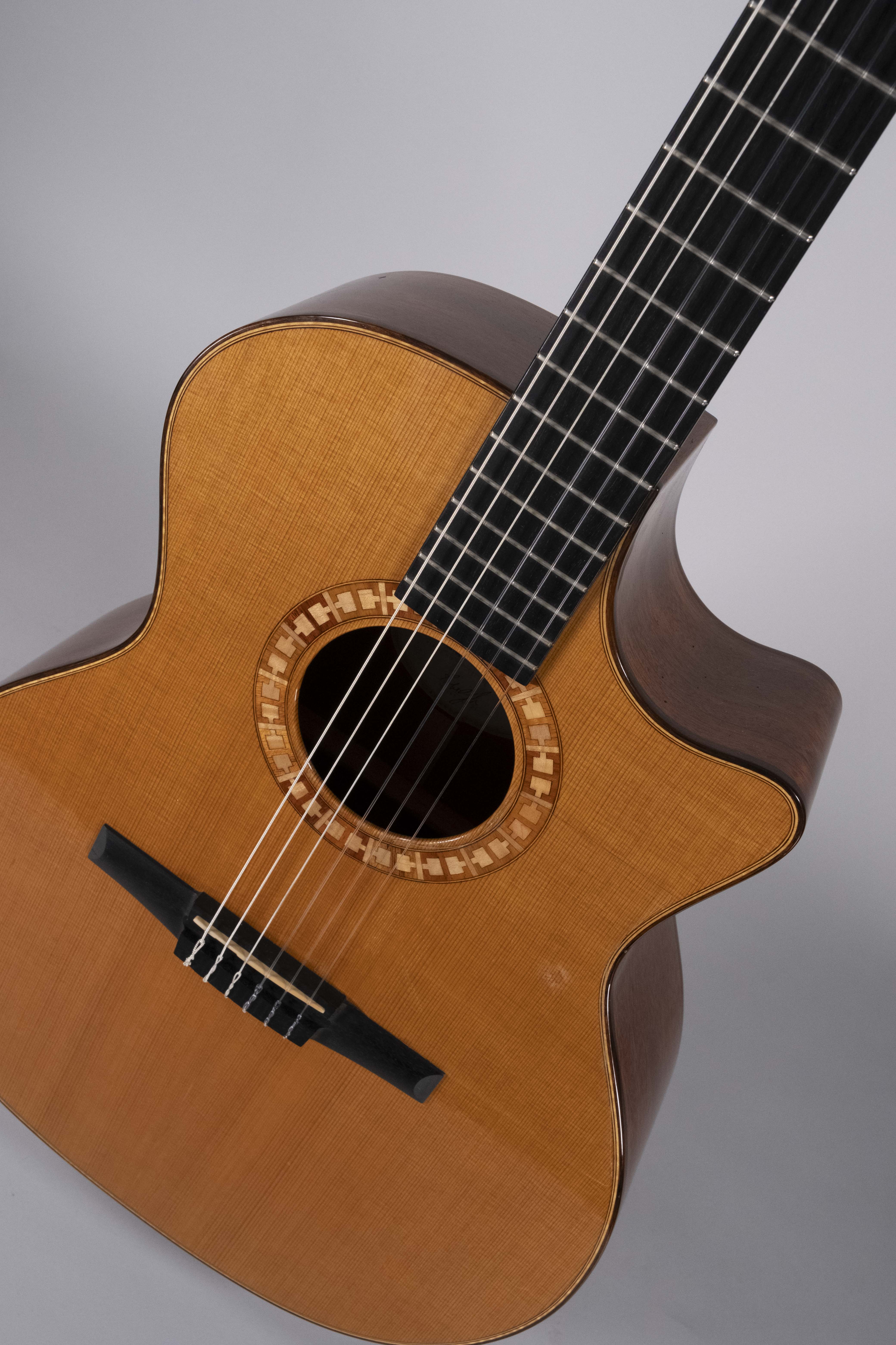 TAYLOR NS54CE USATA