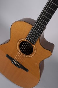 TAYLOR NS54CE USATA