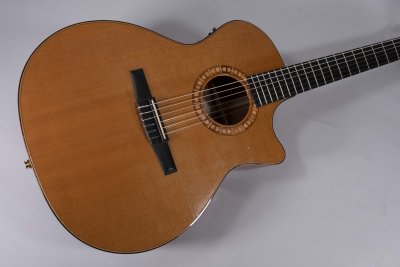 TAYLOR NS54CE USATA