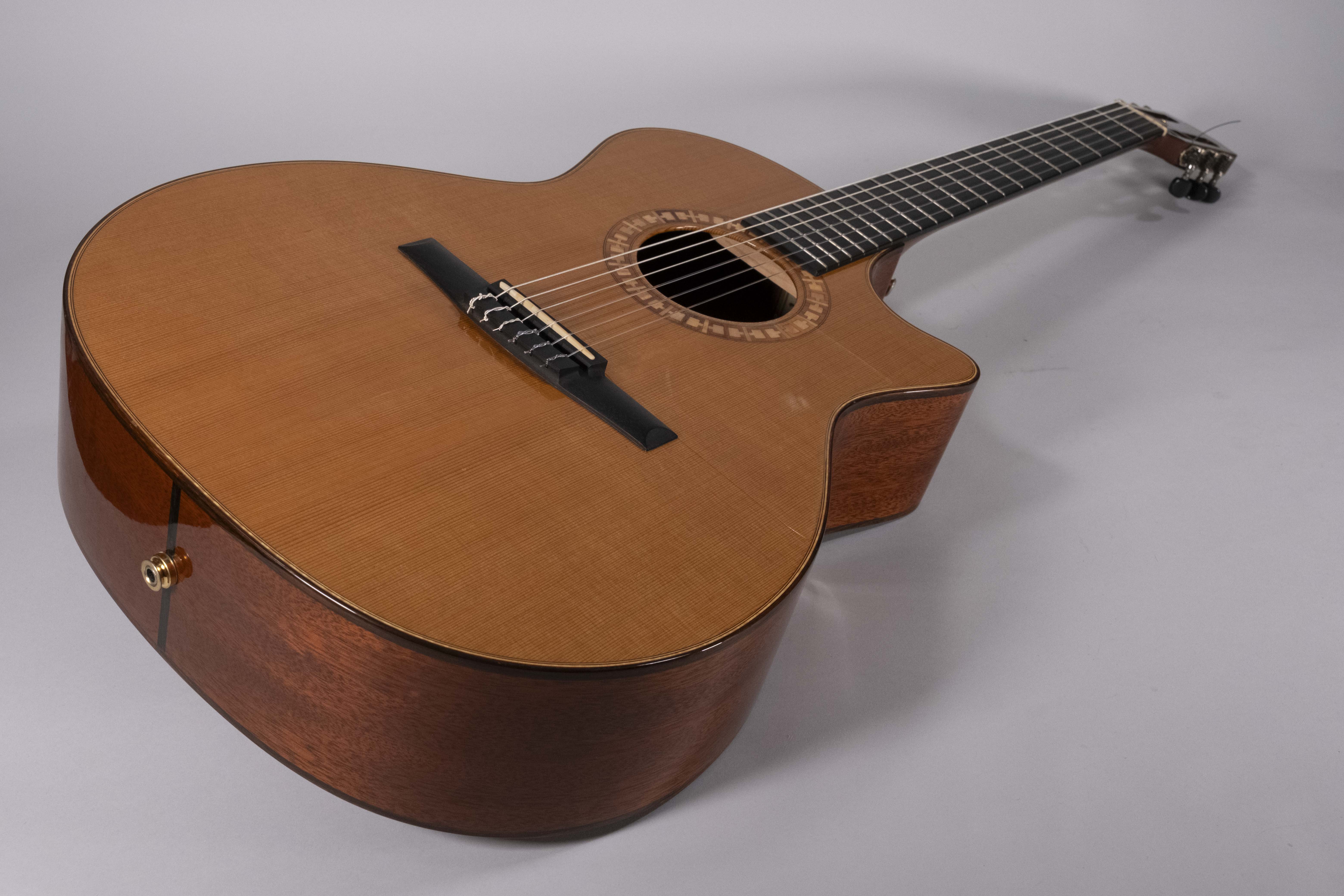 TAYLOR NS54CE USATA