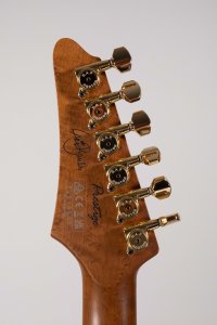 Ibanez Lari Basilio Signature Black