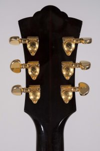 GUILD D55 NAT USATA