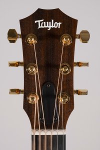 TAYLOR GS MINI E-RW LTD USATA