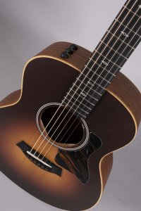 TAYLOR GS MINI E-RW LTD USATA