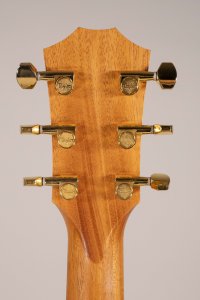 TAYLOR GS MINI E-RW LTD USATA