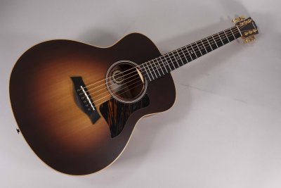 TAYLOR GS MINI E-RW LTD USATA