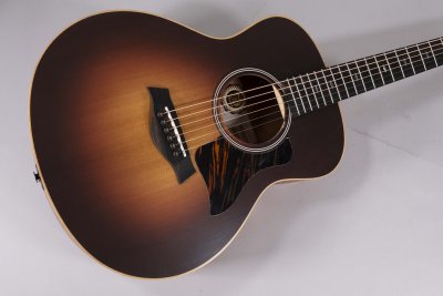 TAYLOR GS MINI E-RW LTD USATA