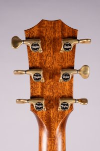 Taylor 814Ce Builder's Edition