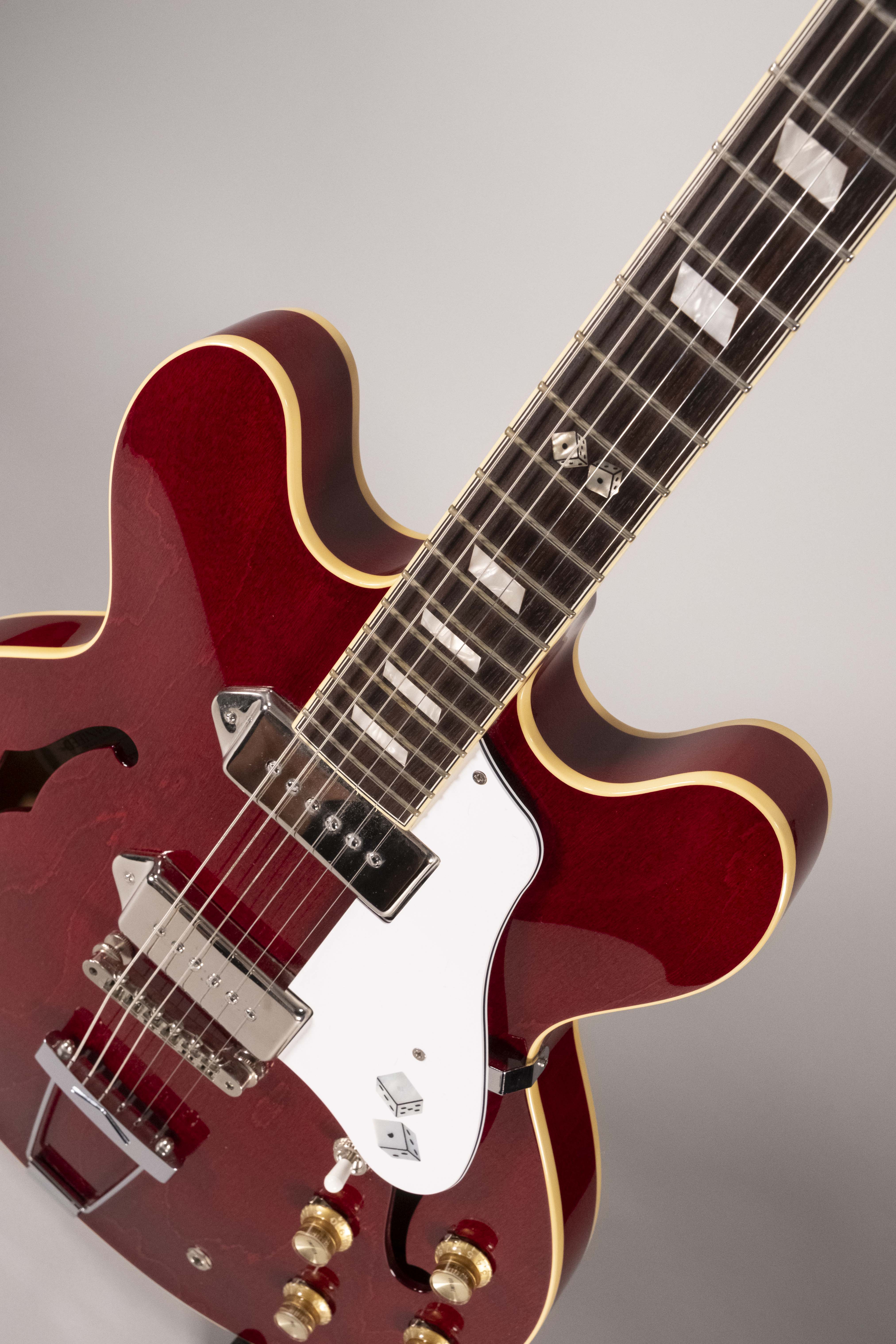 EPIPHONE ELITLIST DWIGHT TRASH USATO