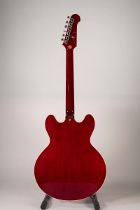 EPIPHONE ELITLIST DWIGHT TRASH USATO