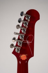 EPIPHONE ELITLIST DWIGHT TRASH USATO