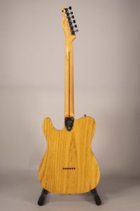 FENDER TELE THINLINE MEX '06 USATA