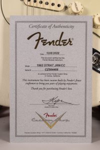 FENDER STRATO 63 JOURNEY USATA