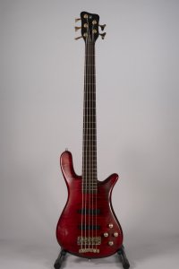 WARWICK STREAMER LX  5C USATO