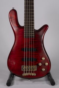 WARWICK STREAMER LX  5C USATO