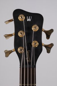 WARWICK STREAMER LX  5C USATO