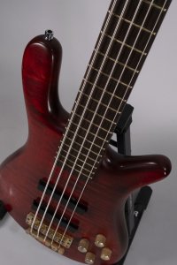 WARWICK STREAMER LX  5C USATO