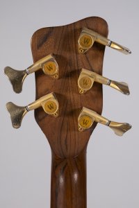 WARWICK STREAMER LX  5C USATO