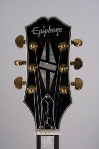 epiphone j. cantrell usata