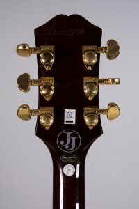 epiphone j. cantrell usata