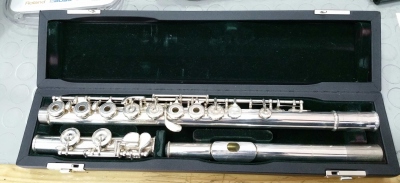 PEARL PF505 USATO