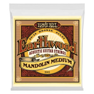 Ernie Ball 2065 Earthwood Mandolin Medium Terminate ad Anello Bronzo 80/20