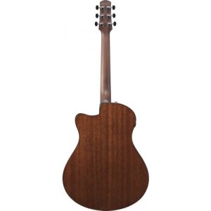 Ibanez AAM300CE Natural High Gloss