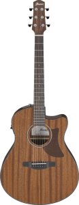 Ibanez AAM54CE Open Pore Natural