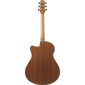 Ibanez AAM54CE Open Pore Natural