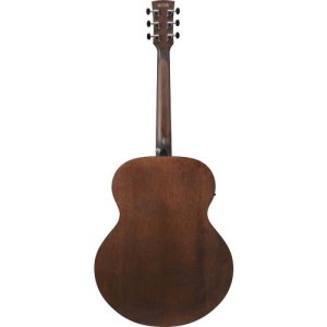 Ibanez AJ54E Open Pore Natural