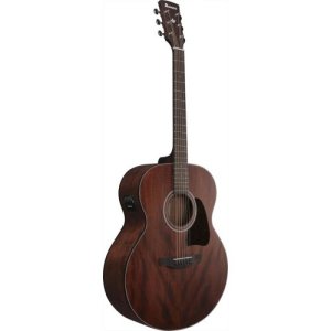 Ibanez AJ54E Open Pore Natural