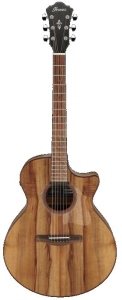 Ibanez Electro Acoustic Guitar Natural Low Gloss