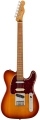 Fender Player Plus Nashville Telecaster Pau Ferro Sienna Sunburst