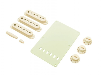 Fender Stratocaster Accessory Kit Aged White