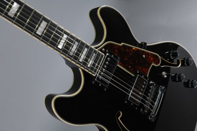 D'Angelico PREMIER DC Black Flake