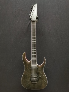 Ibanez RgAIX6 iron label usata