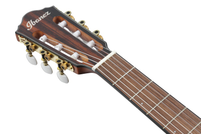 Ibanez FRH10NNTF Natural Flat