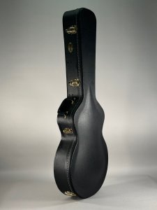 IBANEZ AF CASE  astuccio usato