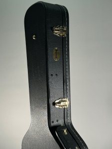 IBANEZ AF CASE  astuccio usato