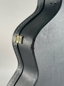 IBANEZ AF CASE  astuccio usato