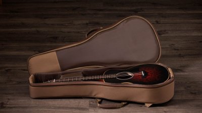 Taylor Gs Mini-E Special Edition Victorian Burst