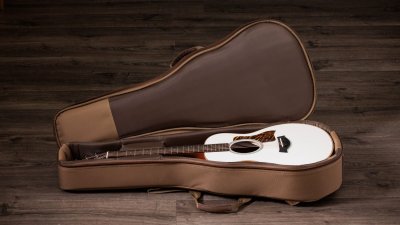 Taylor Gs Mini-E Special Edition Trans White