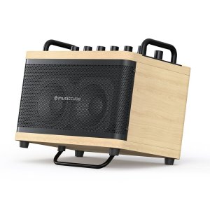 Musiccube Tiny Box D2 Oak 50W Portatile