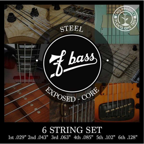 Fbass 6 string bass string set