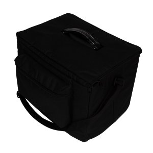 Godin ASG-8 Acoustic Solutions Amp 120W Natural